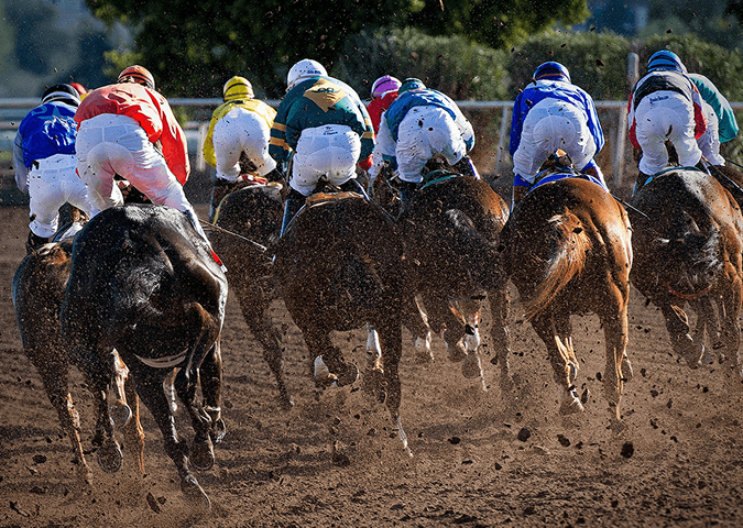 Animal Sports Testing, Medication and Doping Control